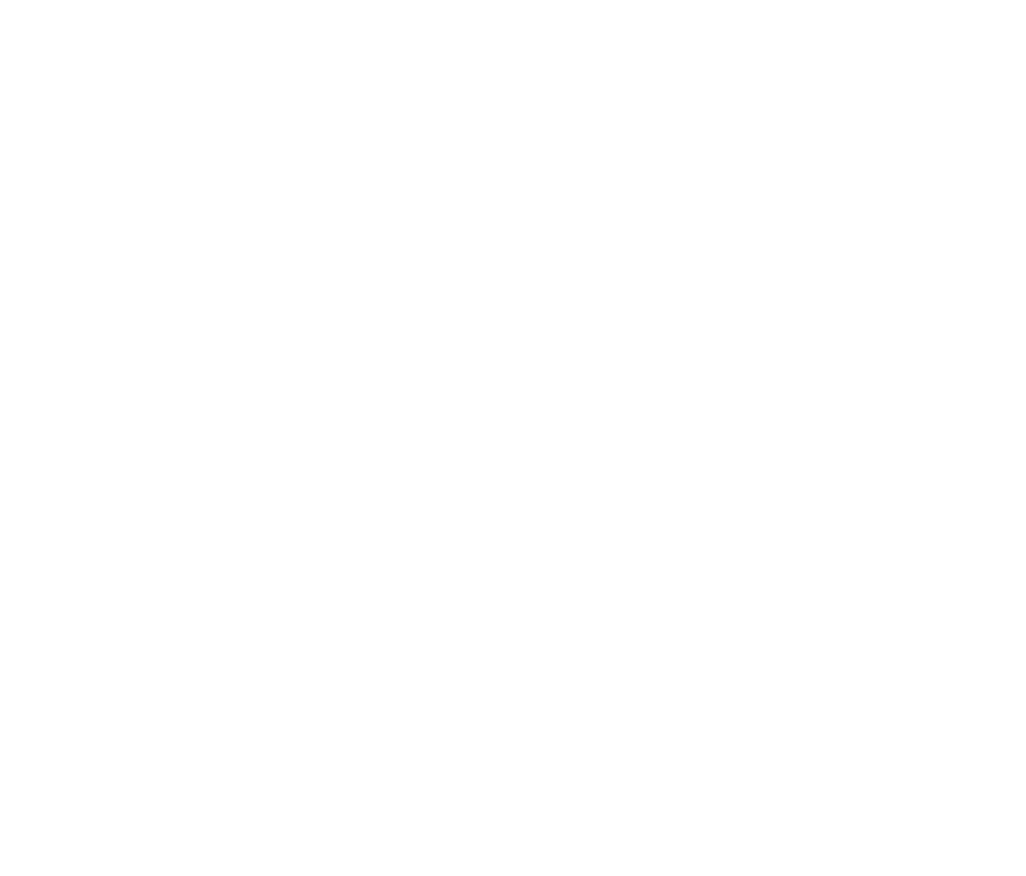 Dra. Pricilla Fernandes